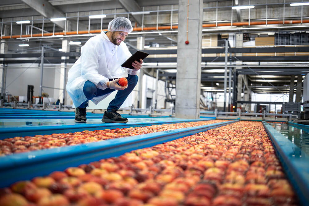 Redaction Web industrie Agroalimentaire